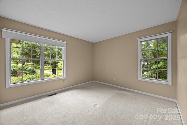 206 Pine Knot Trl, Hendersonville, NC 28739 - carpeted spare room featuring baseboards