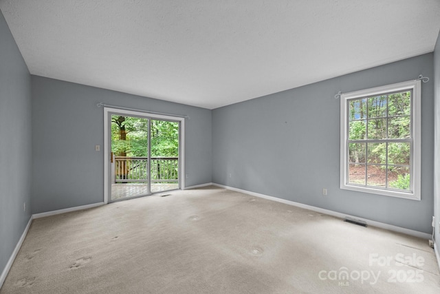 206 Pine Knot Trl, Hendersonville, NC 28739 - unfurnished room with healthy amount of natural light, baseboards, and carpet floors