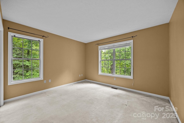 206 Pine Knot Trl, Hendersonville, NC 28739 - spare room with healthy amount of natural light and baseboards