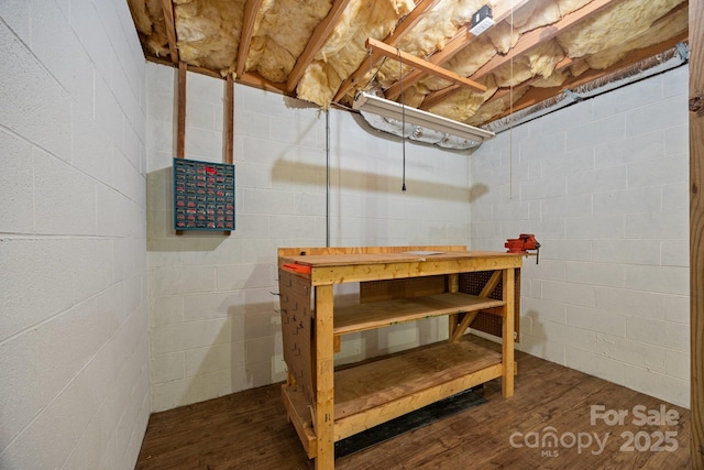 206 Pine Knot Trl, Hendersonville, NC 28739 - unfinished below grade area featuring wood finished floors, a workshop area, and concrete block wall