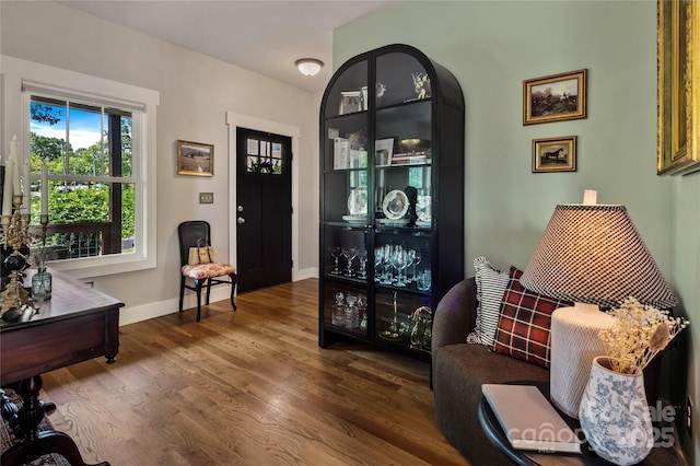 109 Druid Dr, Asheville, NC 28806 - entryway featuring wood finished floors and baseboards