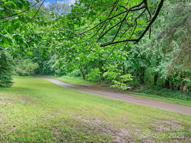 7317 Red Branch Ln, Charlotte, NC 28226 - view of green lawn