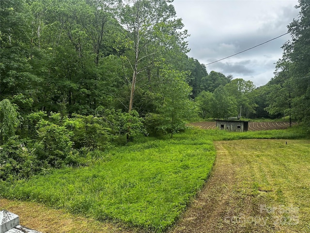 731 Pigeon Roost Rd, Green Mountain, NC 28740 - photo 2
