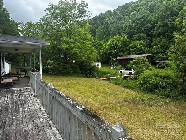 731 Pigeon Roost Rd, Green Mountain, NC 28740 - photo 17