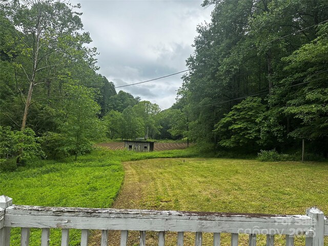 731 Pigeon Roost Rd, Green Mountain, NC 28740 - photo 20