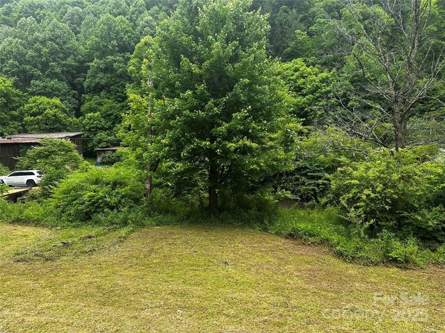 731 Pigeon Roost Rd, Green Mountain, NC 28740 - photo 26