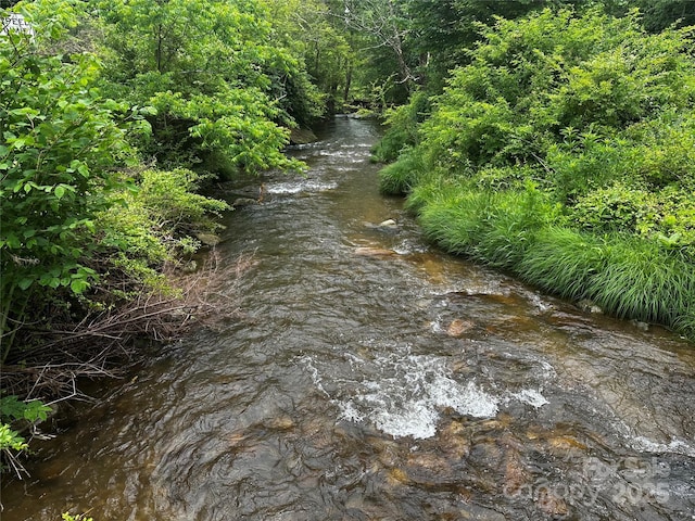 731 Pigeon Roost Rd, Green Mountain, NC 28740 - photo 27