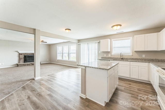 673 Shellbark Dr, Concord, NC 28025 - kitchen with a sink, open floor plan, white cabinets, and light stone countertops