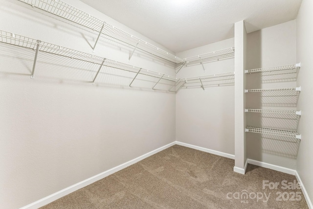 673 Shellbark Dr, Concord, NC 28025 - spacious closet featuring carpet flooring