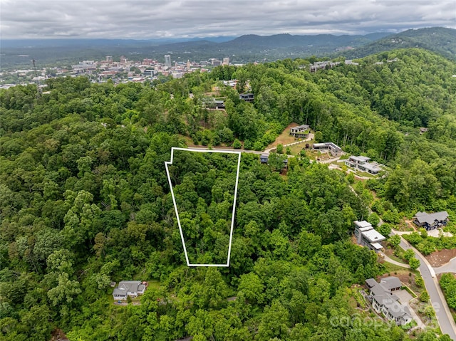 22 Samuel Ashe Dr Unit 45, Asheville, NC 28805
