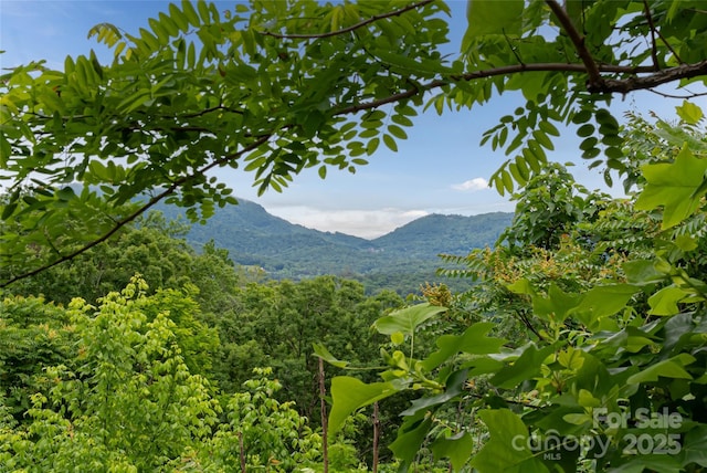 22 Samuel Ashe Dr Unit 45, Asheville, NC 28805
