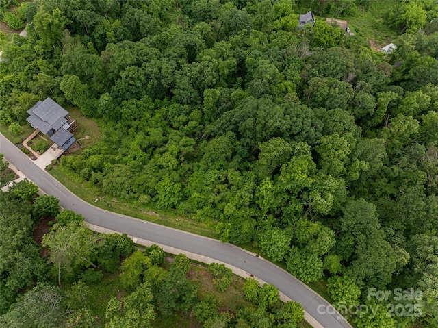22 Samuel Ashe Dr Unit 45, Asheville, NC 28805