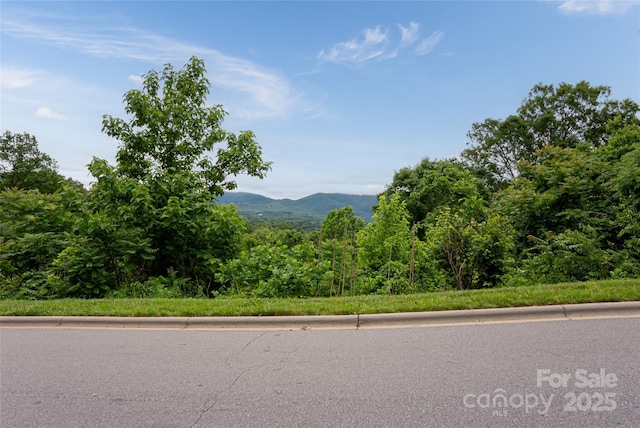 22 Samuel Ashe Dr Unit 45, Asheville, NC 28805