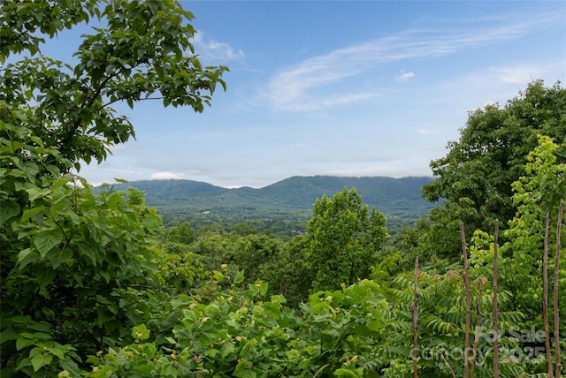 22 Samuel Ashe Dr Unit 45, Asheville, NC 28805