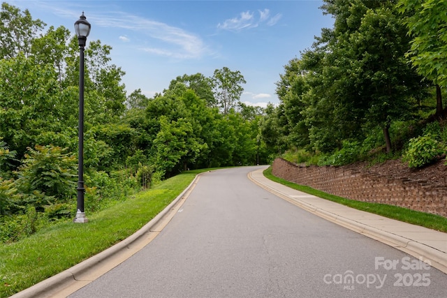 22 Samuel Ashe Dr Unit 45, Asheville, NC 28805