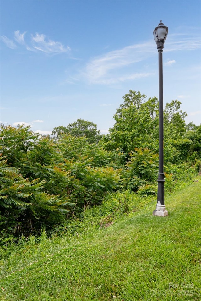 22 Samuel Ashe Dr Unit 45, Asheville, NC 28805