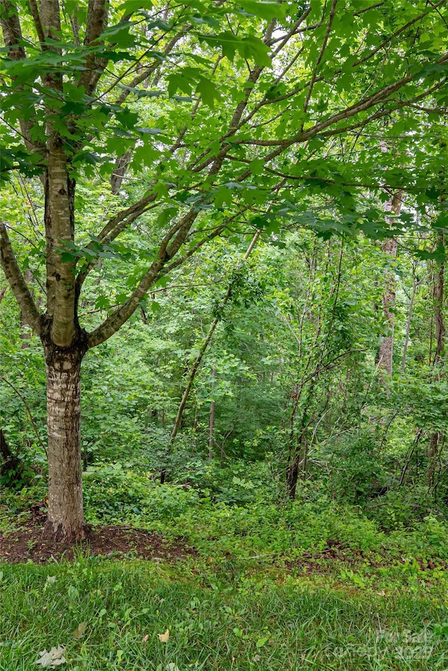 22 Samuel Ashe Dr Unit 45, Asheville, NC 28805