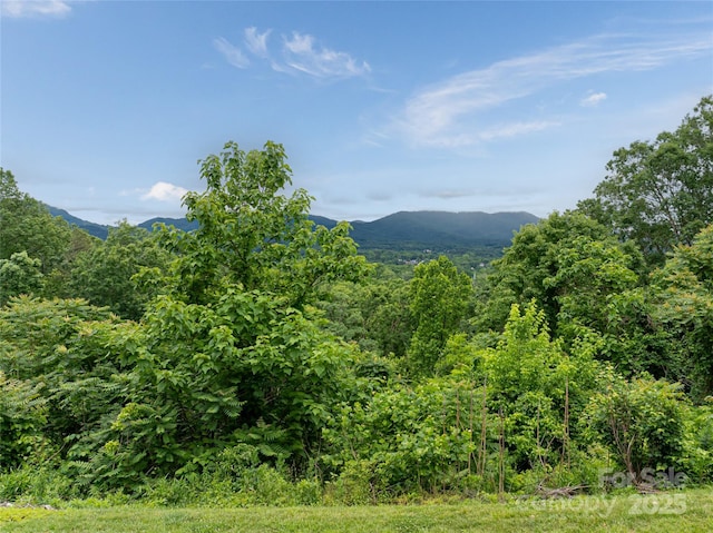 22 Samuel Ashe Dr Unit 45, Asheville, NC 28805
