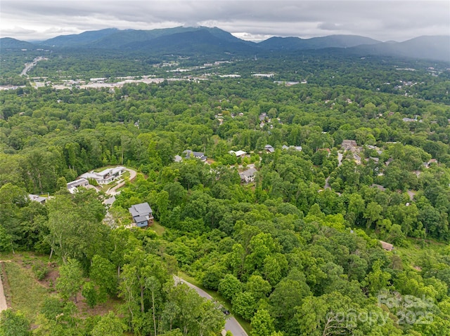 22 Samuel Ashe Dr Unit 45, Asheville, NC 28805