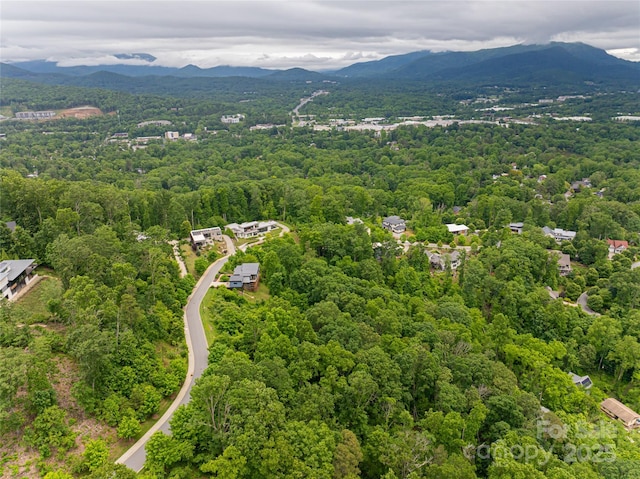 22 Samuel Ashe Dr Unit 45, Asheville, NC 28805