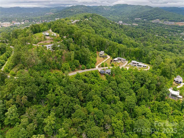 22 Samuel Ashe Dr Unit 45, Asheville, NC 28805