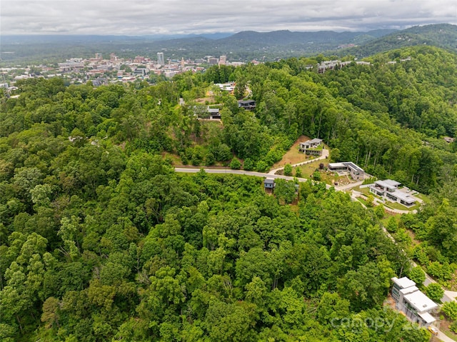 22 Samuel Ashe Dr Unit 45, Asheville, NC 28805