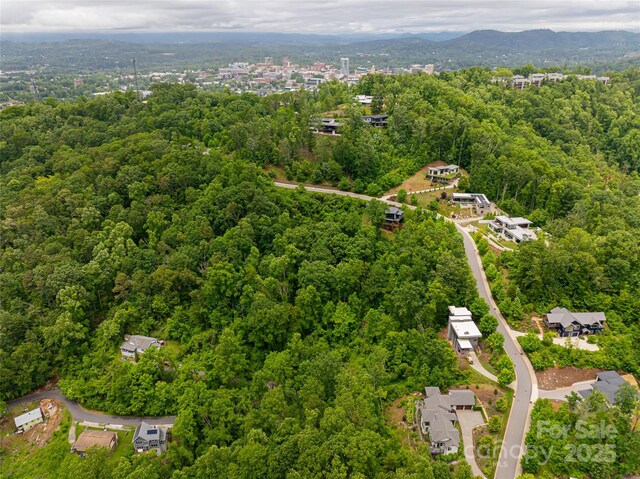 22 Samuel Ashe Dr Unit 45, Asheville, NC 28805