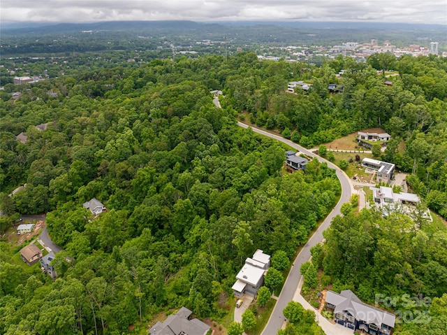 22 Samuel Ashe Dr Unit 45, Asheville, NC 28805