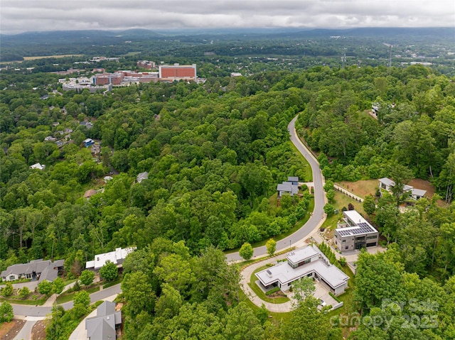 22 Samuel Ashe Dr Unit 45, Asheville, NC 28805