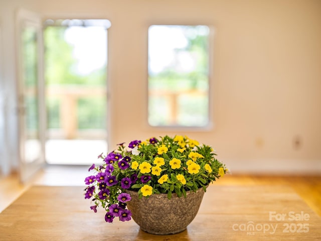 64 Mclain St, Asheville, NC 28803 - detailed view of wood finished floors