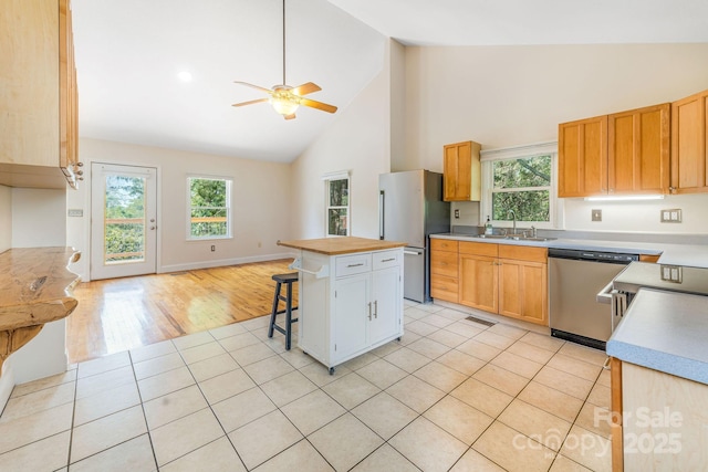 64 Mclain St, Asheville, NC 28803 - kitchen with appliances with stainless steel finishes, a sink, high vaulted ceiling, ceiling fan, and healthy amount of natural light