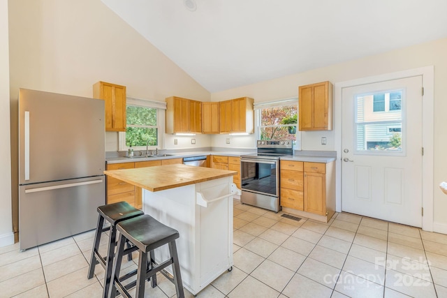 64 Mclain St, Asheville, NC 28803 - kitchen with stainless steel appliances, wood counters, light tile patterned flooring, plenty of natural light, and high vaulted ceiling