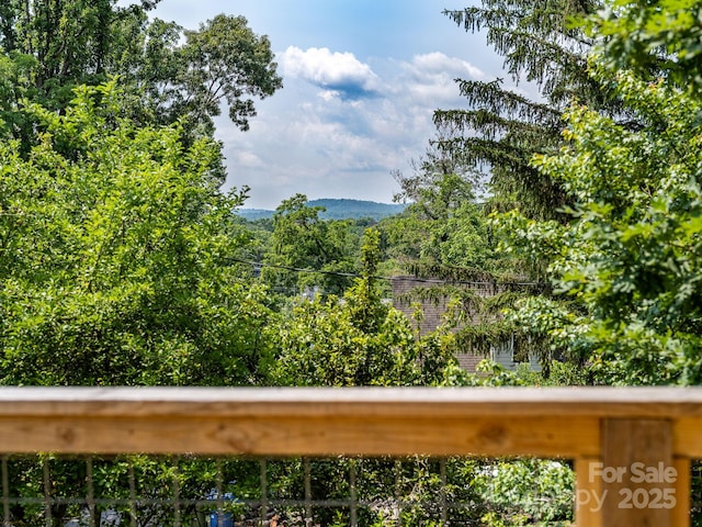 64 Mclain St, Asheville, NC 28803 - view of mountain backdrop