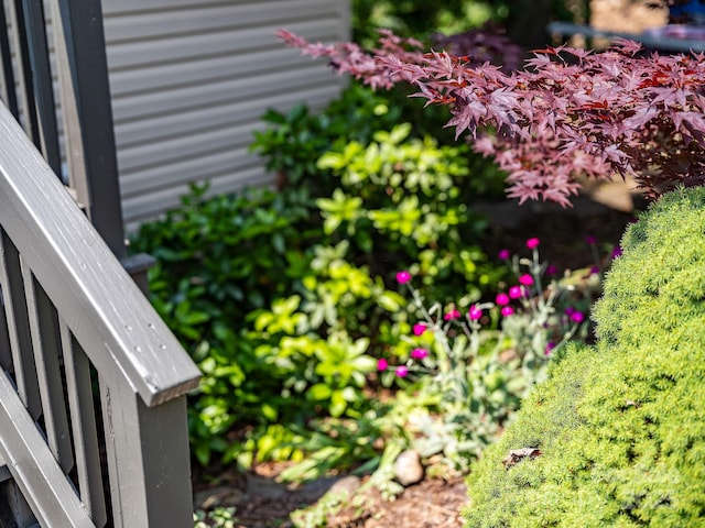 64 Mclain St, Asheville, NC 28803 - exterior view