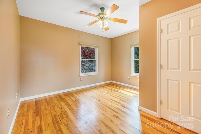 64 Mclain St, Asheville, NC 28803 - photo 15