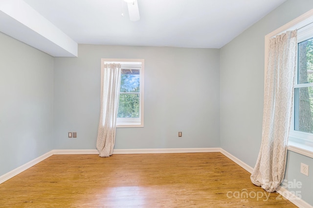 64 Mclain St, Asheville, NC 28803 - photo 26