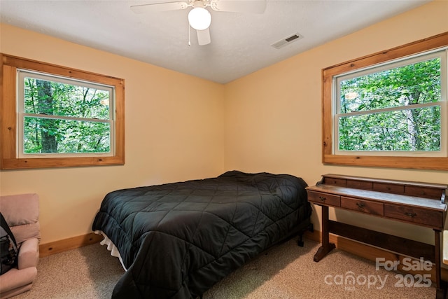 823 Turtle Creek Rd, Sylva, NC 28779 - carpeted bedroom with multiple windows, baseboards, and ceiling fan