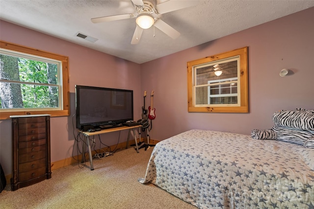 823 Turtle Creek Rd, Sylva, NC 28779 - bedroom with carpet, ceiling fan, baseboards, and a textured ceiling