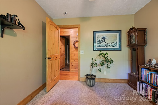 823 Turtle Creek Rd, Sylva, NC 28779 - corridor featuring carpet flooring, baseboards, and a textured ceiling