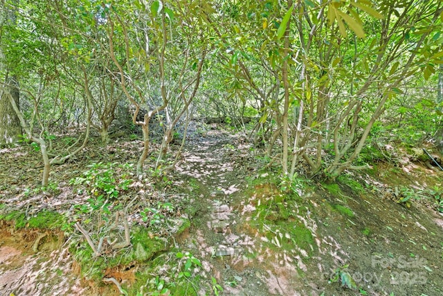 823 Turtle Creek Rd, Sylva, NC 28779 - view of nature
