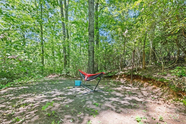 823 Turtle Creek Rd, Sylva, NC 28779 - view of yard