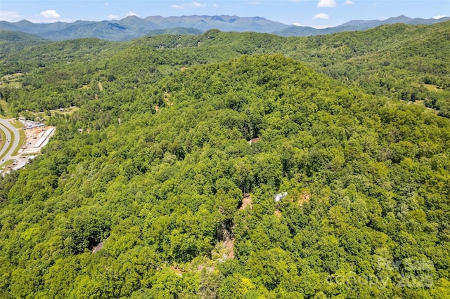 823 Turtle Creek Rd, Sylva, NC 28779 - bird's eye view of a heavily wooded area and mountains