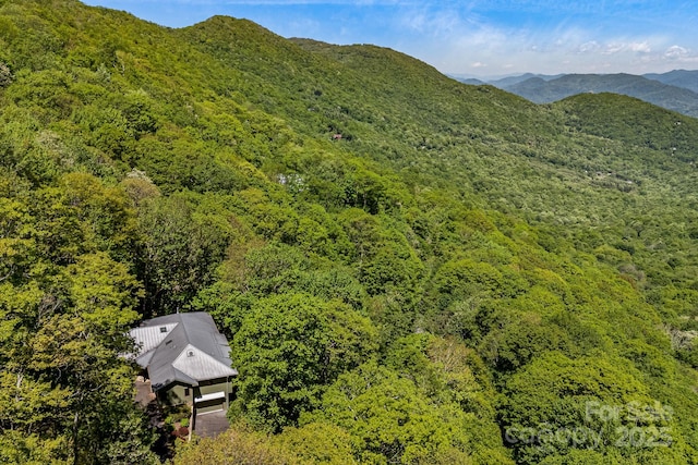 1760 Winding Creek Dr, Waynesville, NC 28786 - mountain view featuring a forest