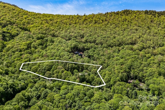 1760 Winding Creek Dr, Waynesville, NC 28786 - aerial view of property's location with a heavily wooded area and property parcel outlined