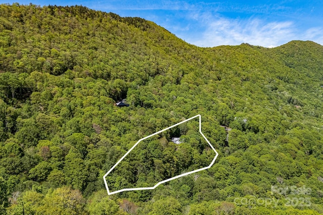 1760 Winding Creek Dr, Waynesville, NC 28786 - aerial view of property and surrounding area with a heavily wooded area and property parcel outlined