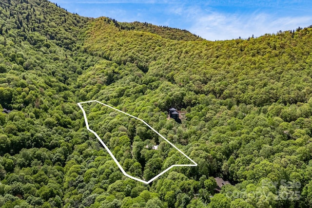 1760 Winding Creek Dr, Waynesville, NC 28786 - aerial view of property and surrounding area featuring a forest and property boundaries highlighted