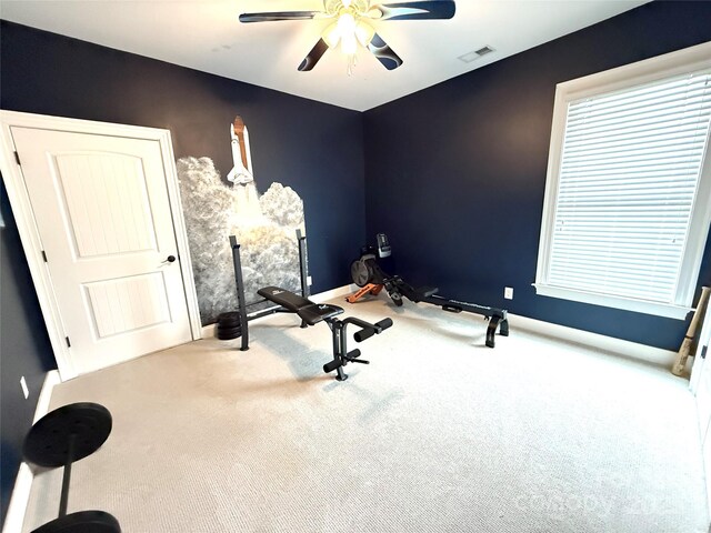141 Weathers Creek Rd, Troutman, NC 28166 - workout room with ceiling fan and carpet