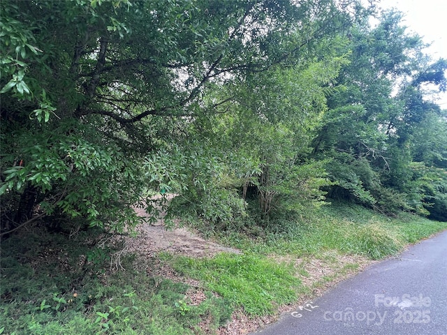 7949 Ritter Dr, Charlotte, NC 28270 - view of local wilderness