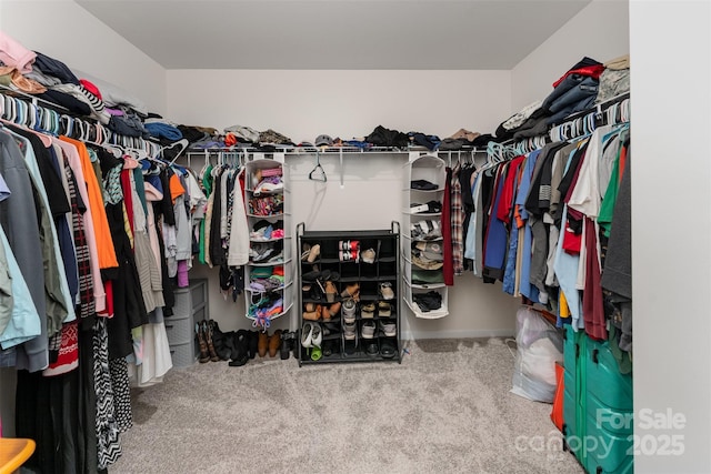 347 Carolina Hemlock Dr, Locust, NC 28097 - spacious closet with carpet