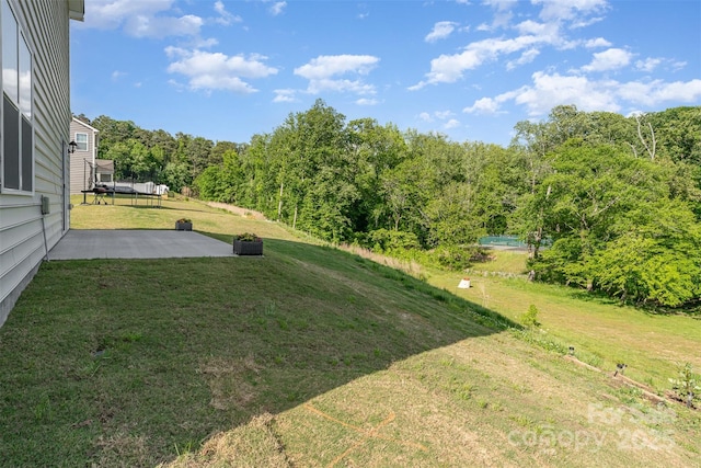 347 Carolina Hemlock Dr, Locust, NC 28097 - view of grassy yard featuring a patio and a forest view